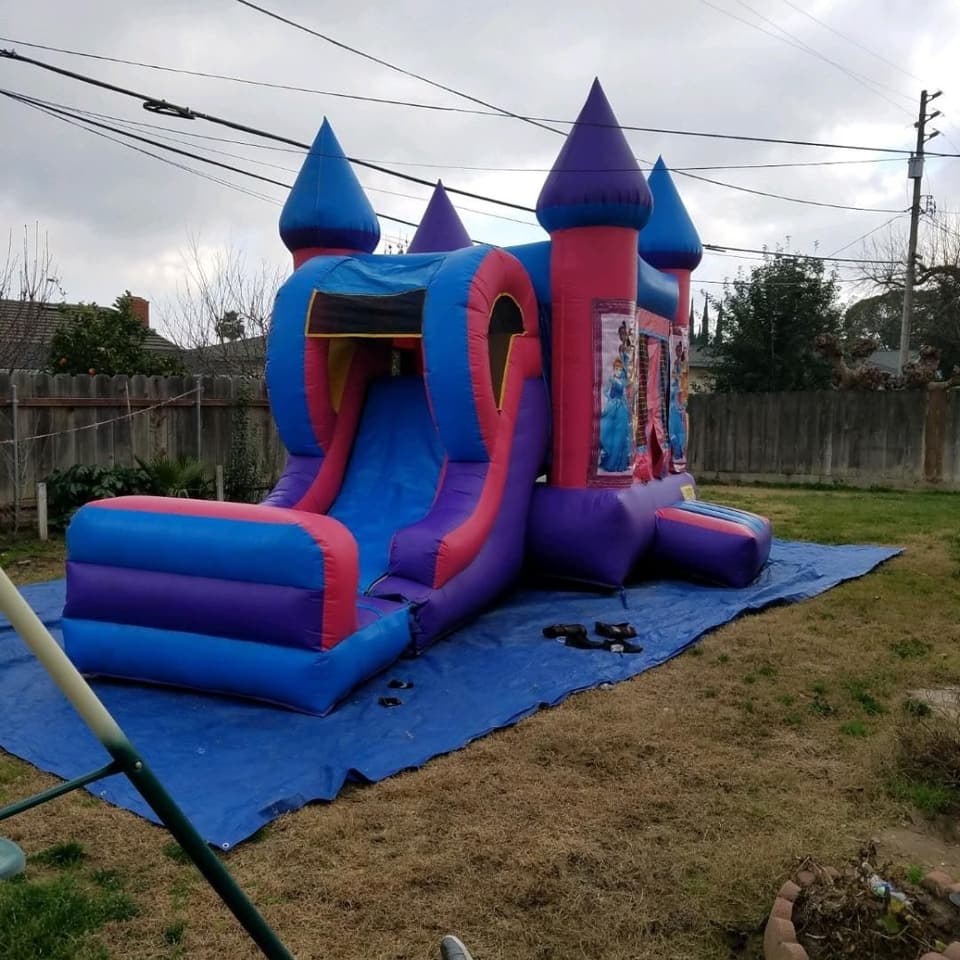 Close-up of a purple and blue castle bounce house showing its mesh safety windows